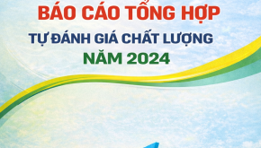 Báo cáo tự đánh giá chất lượng 2024