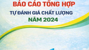Báo cáo tự đánh giá chất lượng 2024
