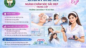 cssd tc
